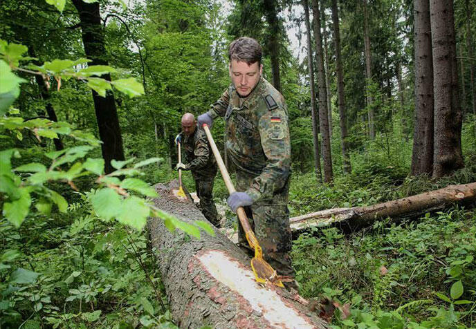 Einsatz der Bundeswehr im Kampf gegen Borkenkäfer zum Erhalt unserer Wälder in der Region